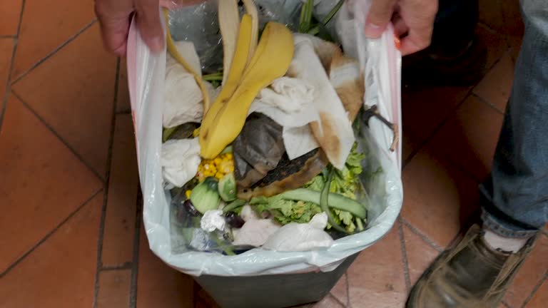 Best Property Management Cleanouts  in Mccla, AL